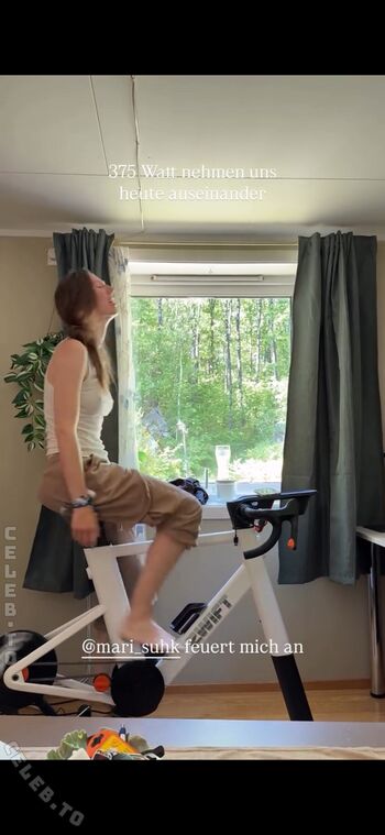 affe_auf_bike