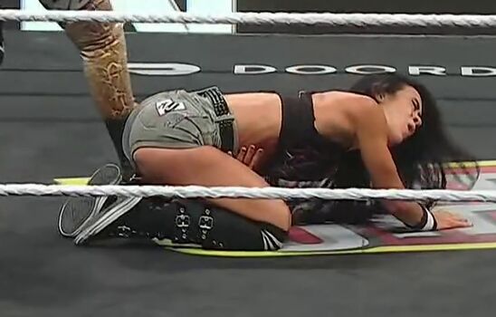 AJ Lee