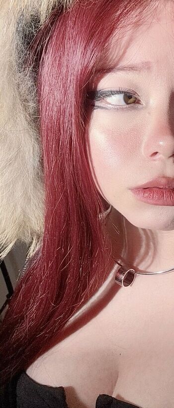 curssedkitty