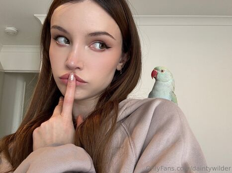 daintywilder