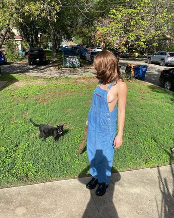 Die Spitz