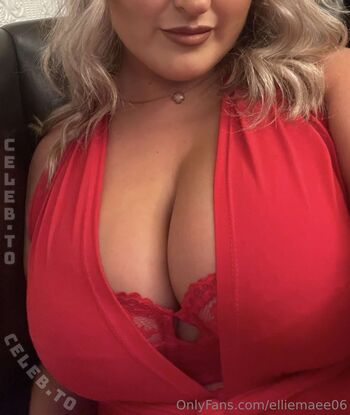 elliemae_vip