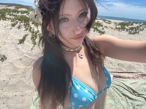 fawn.state