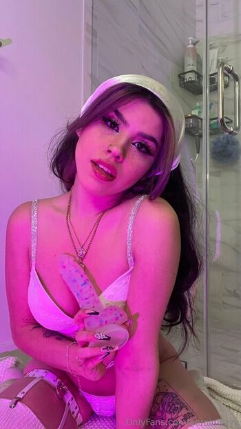 Geminisavy