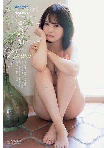 Hime Araya