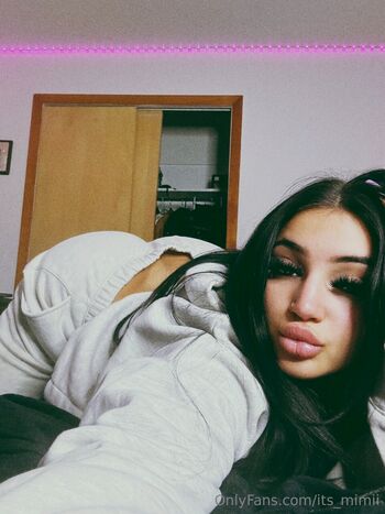 its_mimii