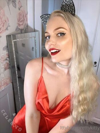 ittybittyprettykitty