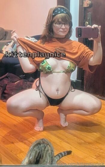 kittenplaynice