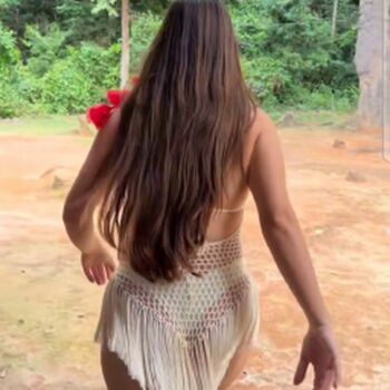 Laurinhafeer