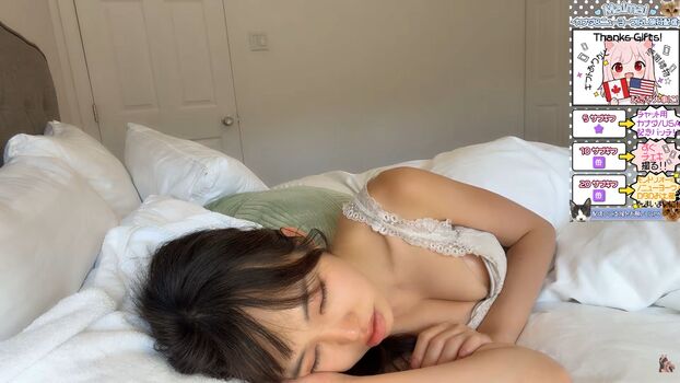 MaiMai まいまい