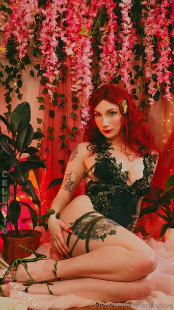 Marina Dove