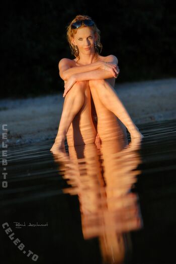 model_cladi