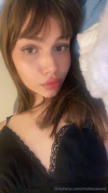molliesworld