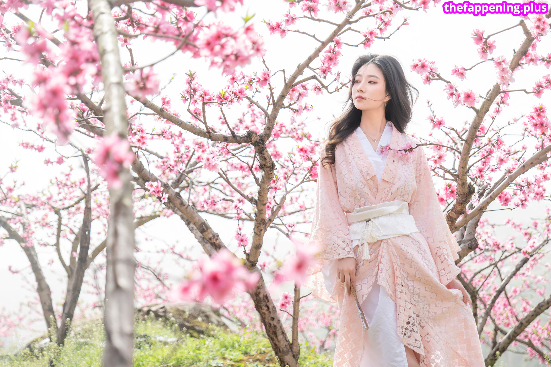 nianlin / nnian_ / nnian_011 누드 OnlyFans 사진 #756