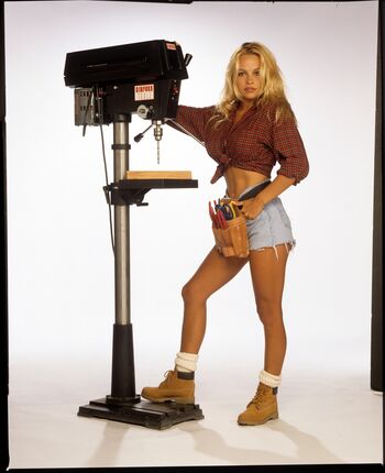 Pamela Anderson
