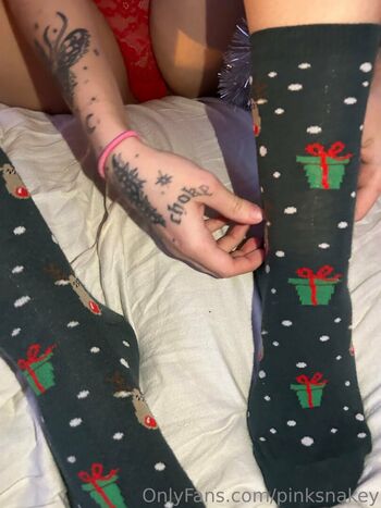 Pinksnakey