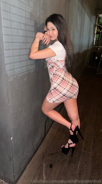 sakuratheforbiddenfruit