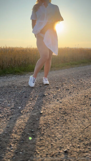 scandinavian_blondie