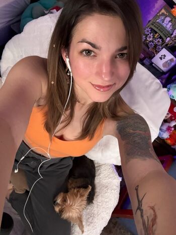 SeeCatPlay