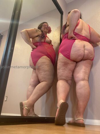 stillinmetamorphosis