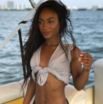 taylorchamp