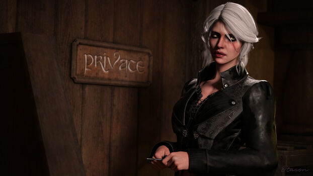The Witcher