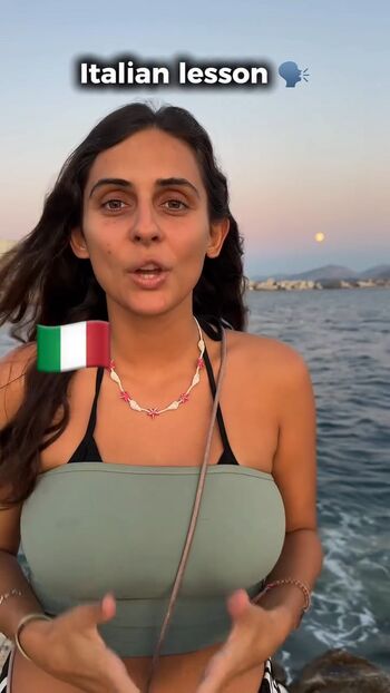 Theitalianlizard