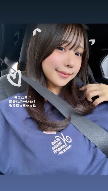 Towa Rabbit