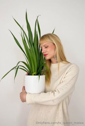ts_queen_matea