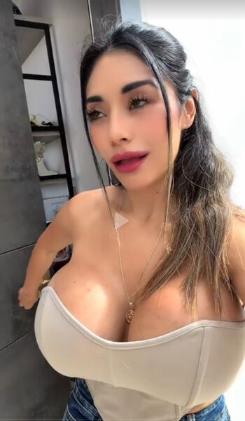 Vane