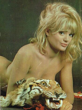 Vintage Starlets