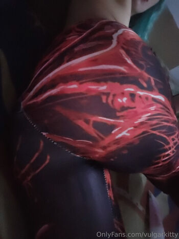 vulgarkitty